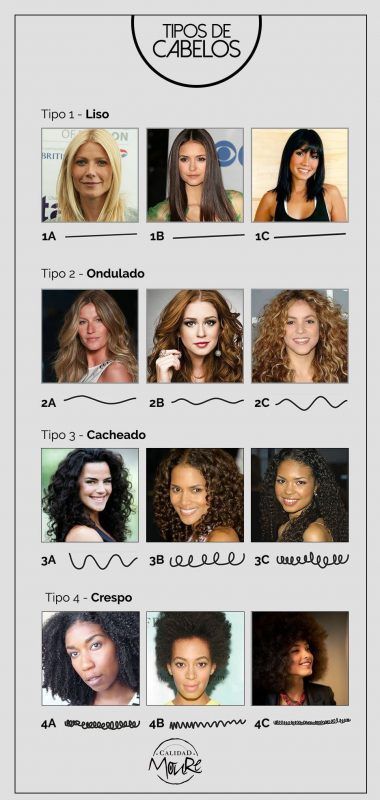 clasificacion de pelo rizado moure mallorca