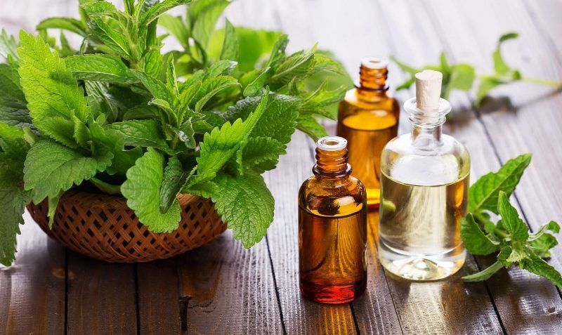 productos aromaterapia vegana biologica para el pelo ondulado rizado y liso (3)