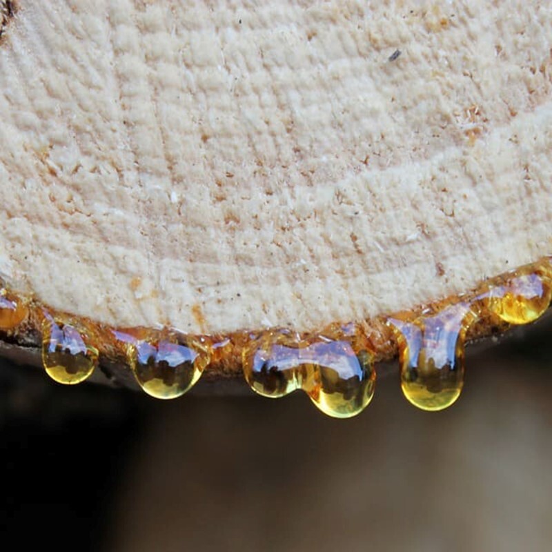 PELO FINO MALLORCA. PELOFINO, PELUQUERIA MOURE MALLORCA (27)