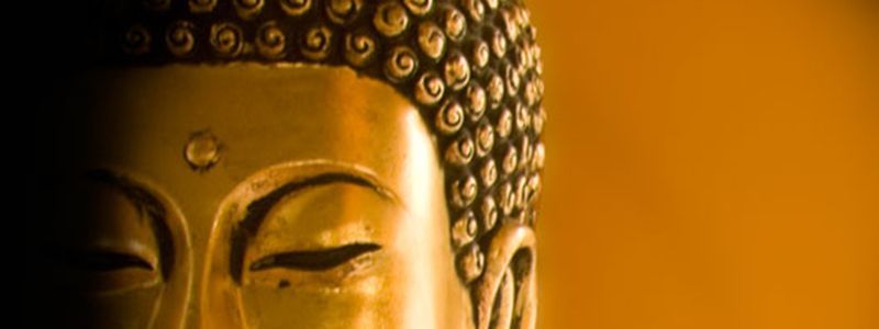 BANNER FOTOS PELUQUERIA MOURE UNO PALMA DE MALLORCA (22)