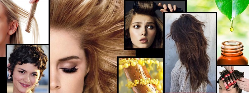 PELO FINO MALLORCA. PELOFINO, PELUQUERIA MOURE MALLORCA PELO FINO MALLORCA. PELOFINO, PELUQUERIA MOURE MALLORCA